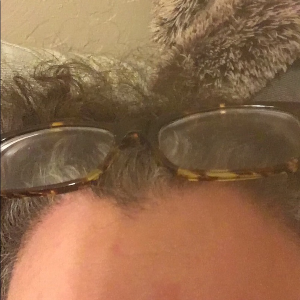 Meet your Posher, Yasmin